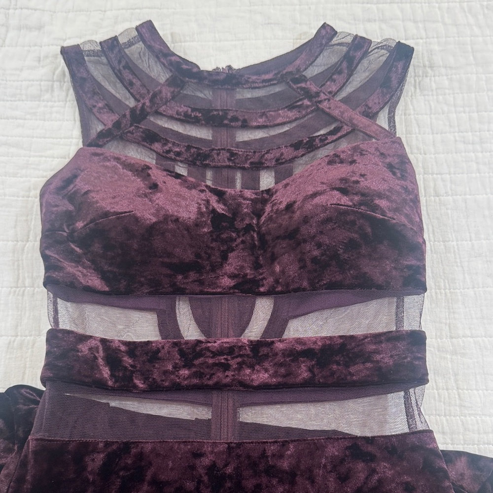 Velvet Mesh Cutout Dress in Purple